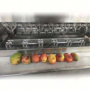 Peladora de mango de alta calidad y rebanadora automática - Product Image 3