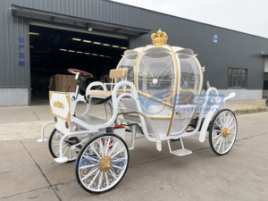 Carruaje de Lujo Real con Caballos, Decoración Eléctrica para Bodas, Luces LED, Tamaño Real, para 4-6 Personas, en Venta - Product Image 4