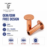 Rivets semi-tubulaires à tête plate pour boîtiers électroniques, prototypes d'ingénierie, acier sur mesure, oxyde noir, approvisionnement en vrac, TianFang