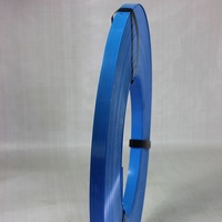 Sangles en acier peintes de bleu avec sangle de cerclage, sangle de fixation à cliquet et sangles en corde pour matériaux d'emballage