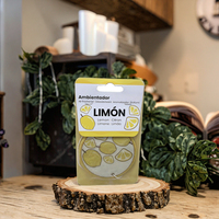 Désodorisant de voiture Portable Style Cool lavande citron Cologne jasmin lys forêt vert pomme aromathérapie papiers pour cadeaux à la maison