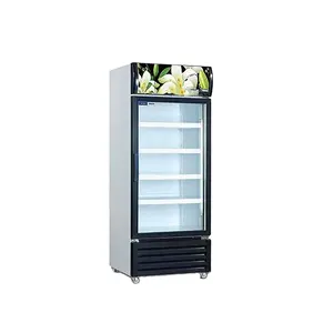 厦门嘉良新设计冷冻鱼展示冰柜制冷玻璃门展示冰柜立式冰柜展示