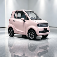 Voiture électrique L6e entièrement certifiée avec homologation CEE, conformité aux réglementations des catégories L et rapports CE pour le marché européen