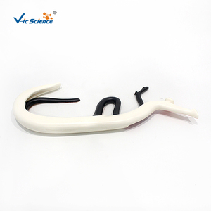 Modello Ingrandito di Schistosoma con Copula Maschile e Femminile Staccabile, Modello Anatomico del Parassita per l'Insegnamento della Parasitologia CE/ISO/ROHS/CNAS - Product Image 3