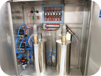 Máquina de Llenado de Pistón Semiautomática con Transmisión por Engranajes para Bebidas, Jabón Corporal, Detergente para Ropa, Limpiador, Botellas de Vidrio, 20 Años de Experiencia
