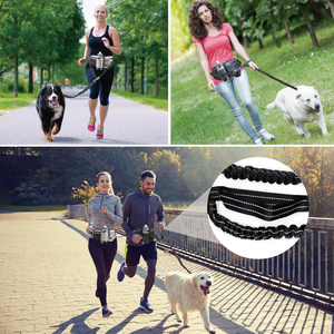 Dual-handle Multi Functional <strong>Hands</strong> <strong>Free</strong> <strong>Dog</strong> Leash with Adjustable Waist <strong>Belt</strong> Zipper Pouch for Running - Product Image 6