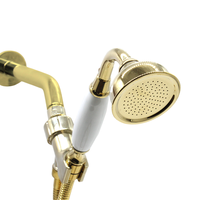 Kit de douche contemporain en laiton avec tuyau, jet doux, fixation murale pour appartement, finition brossée