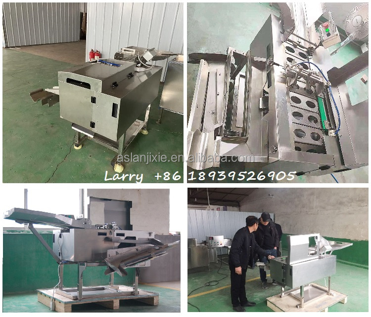 Thực phẩm cấp Trứng phá vỡ máy tách lòng đỏ trứng trắng Máy tách thép không gỉ Dây chuyền Làm rửa trứng