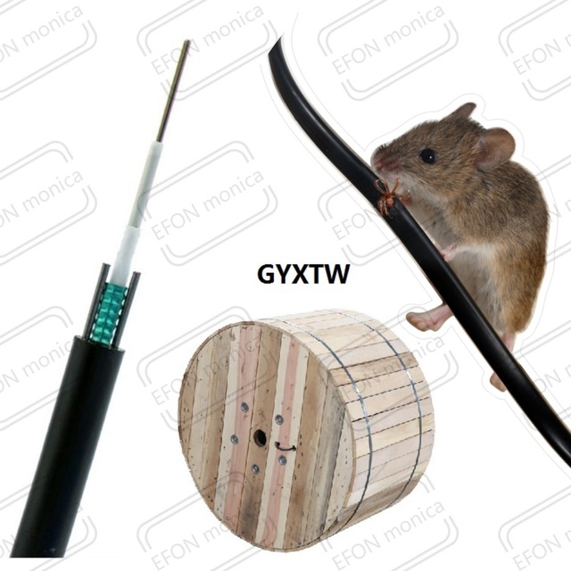 GYXTW 100m 200m 300m 500m Armored Anti Rodent Patch Cord 1km 2km 2 4 6 8 12 24 24 Core GYXTW Fiber Optic FTTH Drop Cable