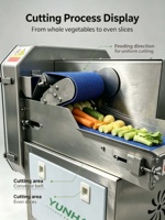 Machine à couper les légumes à haute efficacité, coupe-légumes industriel pour couper les carottes, les pommes de terre, les concombres