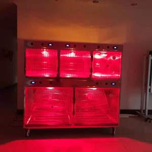 LIZE lujo acero inoxidable 304 mascota Hospital jaula Banco hierro veterinario perro gato veterinario clínica portador Animal patrón para pájaros - Product Image 3