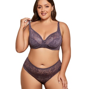 Ensemble de lingerie sexy grande taille en dentelle pour femme, soutien-gorge et culotte, vente en gros personnalisée pour dropshipping 2026 - Product Image 1