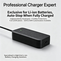 Cargador de Batería de 53.6V2.3A 54.6V2A para Xiaomi 4 Pro Max, 4 Pro Plus, 5 Max, Navee S65 S60, Cargador de Scooter Eléctrico de Iones de Litio de 48V