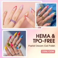 Ensemble de vernis gel pastel 40 couleurs printemps/été, sans HEMA, TPO, fournitures pour ongles personnalisées OEM/ODM, vernis gel UV pour salon, vente en gros