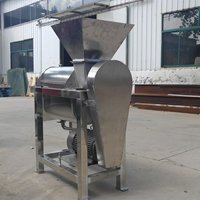 Klein formaat roestvrijstalen tomatenpuree verwerkingsmachine voor fruitverwerkingsbedrijven met motor en kerncomponenten.