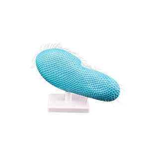 Modello di <span class=keywords><strong>cellula</strong></span> del paramecio di insegnamento della biologia 3D con il nuovo materiale plastico dei capelli - Product Image 3