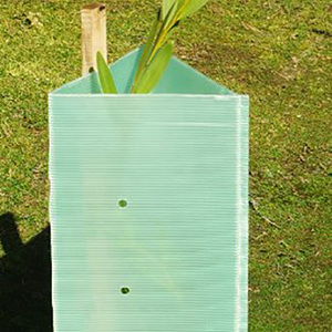 Protecteur d'<span class=keywords><strong>arbre</strong></span> en PP ondulé, protection de <span class=keywords><strong>tronc</strong></span> d'<span class=keywords><strong>arbre</strong></span> sur mesure - Product Image 5
