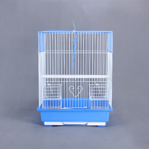 Pappagalli per uccelli di alta qualità - Product Image 6