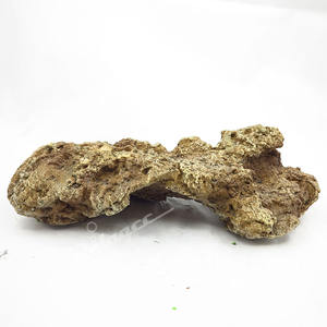 Groothandel Kunstmatige Koraal <span class=keywords><strong>Aquarium</strong></span> Ornament Set Kleurrijke <span class=keywords><strong>Aquarium</strong></span> Decoratie <span class=keywords><strong>Aquarium</strong></span> Hars Koraal Decor Zee Planten - Product Image 2