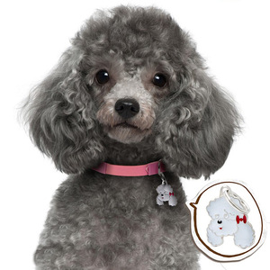 Buena calidad Changzhi se especializa en llavero de mascotas Metal lindo perro Collar colgante bolsa decoración al por mayor - Product Image 4