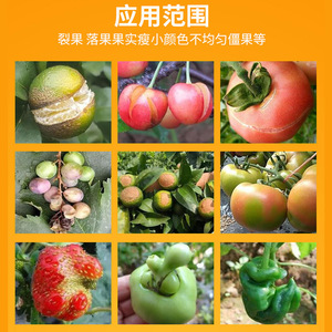 300 ml - Product Image 5
