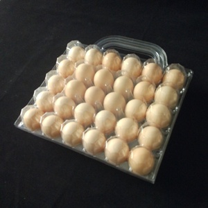 Customized high quality 30 holes disposable blister PVC plastic clamshell packaging for egg