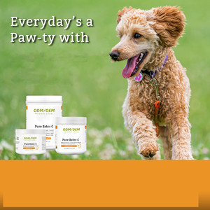 Integratore Naturale di Vitamina <span class=keywords><strong>C</strong></span> OEM/ODM per Cani e Gatti - Polvere di Ester-<span class=keywords><strong>C</strong></span> per Supporto Immunitario, Cura della Pelle, del Pelo e delle Articolazioni - Product Image 6