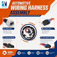 Harness Kabel Otomotif Universal Profesional HZEMS, Konektor ECU Kustom, Kotak Canbus Mobil, Harness Kabel, Pasokan Pabrik Dongguan