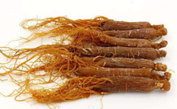 Vente en gros d'extrait de racine de ginseng rouge coréen biologique Offre Spéciale pour des soins de la peau sains