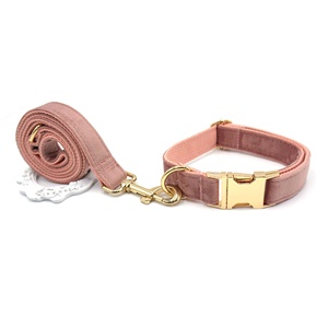Trendy Ketting 2024 Voor Hondenmode Hondenhalsband Kleurrijke Fluwelen Comfortabele Hondenhalsband En Leiband Set Elegante Huisdierriemen - Product Image 2