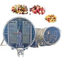 CE 120m² Vacuümvoedselvriesdroger Lyofilisator 1000kg Vriesdroogmachine voor groenten, fruit en chips