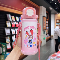 Bouteille d'eau isotherme pour enfants Mickey dessin animé, tasse à double paille Elsa avec sac de protection et cordon, gourde thermique en acier inoxydable