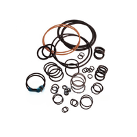 Kit de joints hydrauliques H2O Jet 302005-1 302005-2 B-1163-1 20458803 20458800 A-80-0045 Pièces de rechange pour jet d'eau