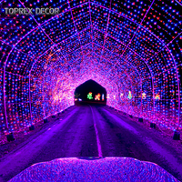 Arches lumineuses décoratives musicales intelligentes à LED RVB avec contrôle DMX programmable pour l'extérieur, motif lumineux de Noël