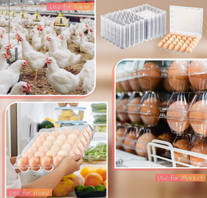 Rõ ràng nhựa trứng thùng carton số lượng lớn gà trang trại Kinh doanh nhà tủ lạnh lưu trữ an toàn giữ trứng trong số lượng lớn khay - Product Image 3