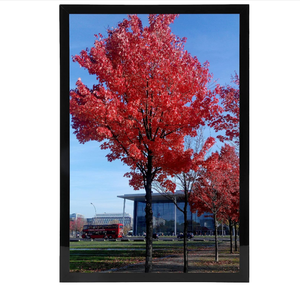 Khung Chụp Nhôm Nhựa Áp Phích Thay Đổi Dễ Dàng Khung Hộp Đèn Led Cho Hộp Đèn Quảng Cáo Gắn Tường Trong Nhà - Product Image 6