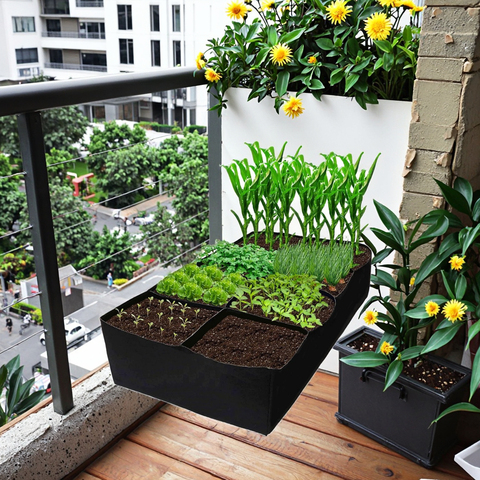 Durable Reusable Plastic Grow Bag for Indoor/Outdoor Use Customizable Capacity 3mm Thick Farmhouse/Garden Style