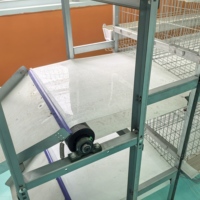 Cage de Poules Pondeuses en Batterie de Type H à Évacuation Manuelle du Fumier pour 5000 Poulets dans les Grandes Fermes Avicoles