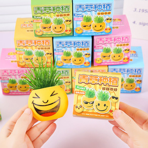 Mini Potted Plant Grass Head Doll Round Emoticon <b>Desk</b> Decor For Living Room Bedroom <b>Study</b> Student Gift - Product Image 1