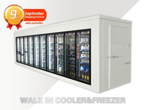 Çin nakliye abd'den Walk-in soğutucu ve dondurucu cam kapi ve raf üreticisi - Product Image 2