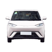 2025 BYD Seagull Version dynamique Voiture électrique Petit véhicule à énergie nouvelle avec une autonomie dynamique de 305km