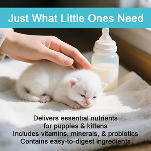 OEM/ODM Stimolatore dell'appetito, Polvere di brodo di ossa per animali domestici, Nuovo integratore nutrizionale per cani e gatti, Vendita all'ingrosso di successo - Product Image 4