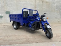 Tricycle de fret 5 roues à essence 250cc, démarrage électrique/à manivelle, carrosserie ouverte, pour usage commercial et agricole, capacité de charge supérieure à 400 kg, vente en gros