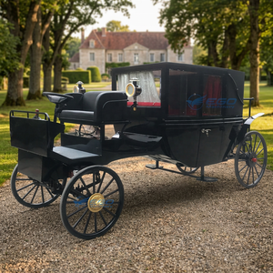 Fabricant de calèches royales noires, véhicule de mariage, calèche à chevaux, calèche électrique sans chevaux pour le tourisme - Product Image 1