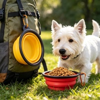 Bol de voyage pliable pour chien de 1000 ml, gamelle d'eau pliable pour chiens, pour la marche et la randonnée
