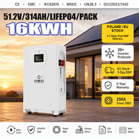 Sistema de Almacenamiento Solar de 16Kwh 51.2V 314Ah 300Ah 30Kw 48Kwh 80KWH 96Kwh 160Kwh 15Kwh, Paquete de Baterías de Iones de Litio Lifepo4 de 48V 20Kwh