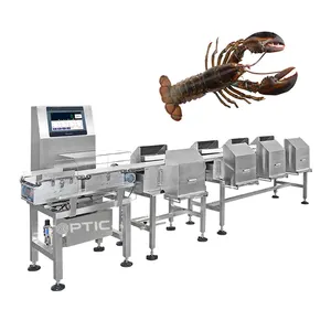 Toptic Tech High Speed High Accuracy Intelligent Lobster Weight Sorting Machine