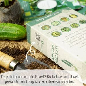 Assortiment <span class=keywords><strong>de</strong></span> légumes biologiques à haute germination-Paquet <span class=keywords><strong>de</strong></span> plantes <span class=keywords><strong>de</strong></span> courgettes <span class=keywords><strong>de</strong></span> style campagnard pour sol ou bureau - Product Image 5