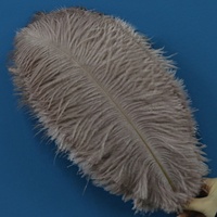Plumes d'Autruche 40-45 cm En Gros, Colorées Blanches, Grandes Plumes pour Robes de Soirée et de Mariage, Décoration de Chapeau
