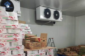 Meilleur prix pour <span class=keywords><strong>chambre</strong></span> <span class=keywords><strong>froide</strong></span> industrielle / <span class=keywords><strong>chambre</strong></span> <span class=keywords><strong>froide</strong></span> commerciale / <span class=keywords><strong>chambre</strong></span> <span class=keywords><strong>froide</strong></span> à accès piétonnier pour la viande et les légumes - Product Image 3